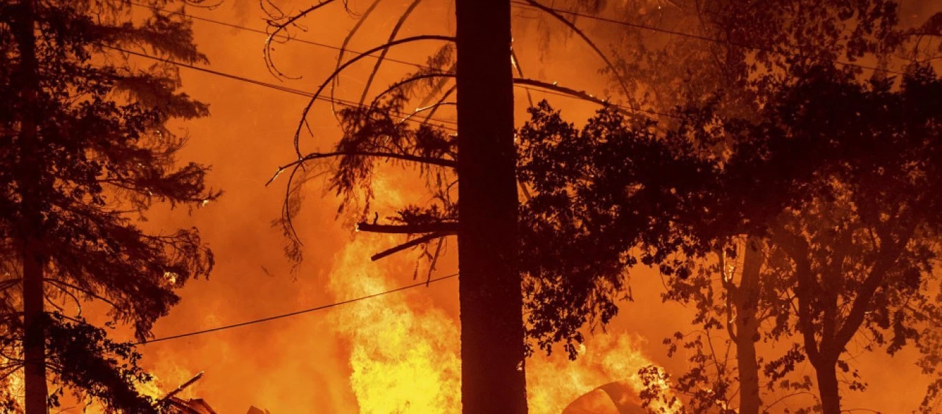 Αλγερία: Τουλάχιστον 42 νεκροί από τις πυρκαγιές που σαρώνουν τον βορρά